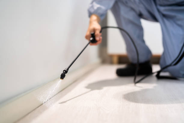 Professional exterminator conducting IPM assessment in Fort Smith